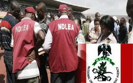 NDLEA intercepts 1.1m Tramadol tabs in Kaduna, others Lagos, Kano