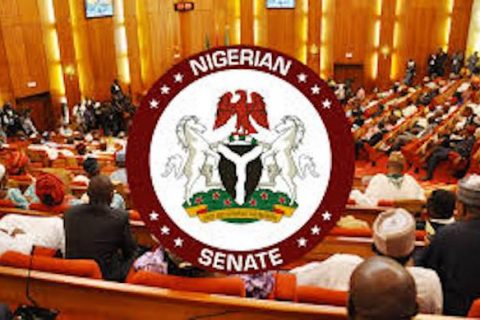 Senate Passes Bill on New Minimum Capital Requirement for Insurance Firms 