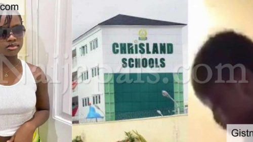 Sex Scandal: 10 Year-Old Chrisland Pupil Breaks Silence, Pleads For Forgiveness