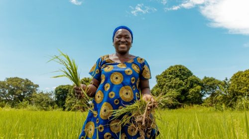 Nestlé partners Africa Food Prize to strengthen food security, climate change resilience