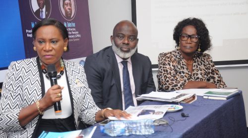 Making Insurance, Pension Customer-Centric Will Speedy  Penetration In Nigeria — Stakeholders