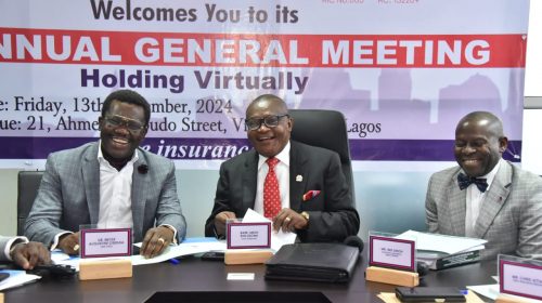 Dignitaries At Anchor Insurance 34th AGM In Lagos 