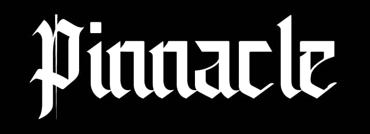 Experts Highlight Innovative Revenue Models As Pinnacle Unveils Flagship Platform ‘Pinnacle Daily’s BRANDS