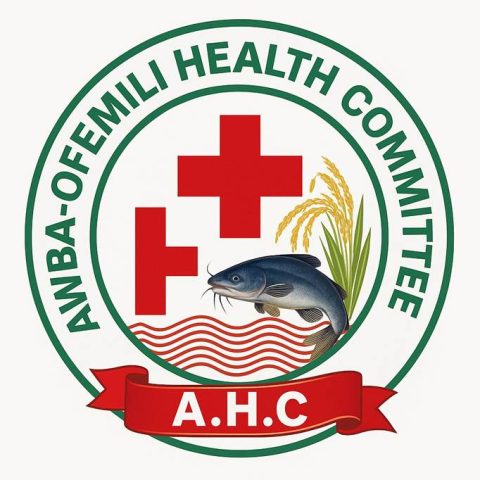 Awba-Ofemili intensifies community health drive against Buruli Ulcer (Elu-Ulee) BRANDS