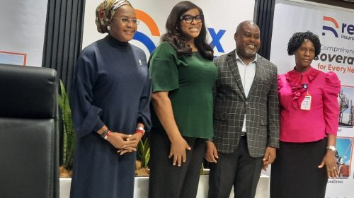 Rex Insurance Settles N30.2 bn Claims In 2024, As GWP Increases By 72% To Hit N28.76 bn