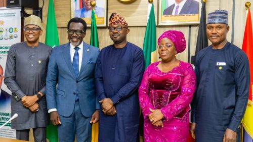 NAICOM Strengthens Partnership with Ministry of Interior to Drive Insurance Sector Growth