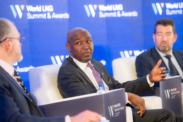 NLNG Outlines Path to Sustainable LNG at World LNG Summit ENERGY