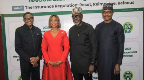 NAICOM Reaffirms Commitment To Transparent, Credible Recapitalization