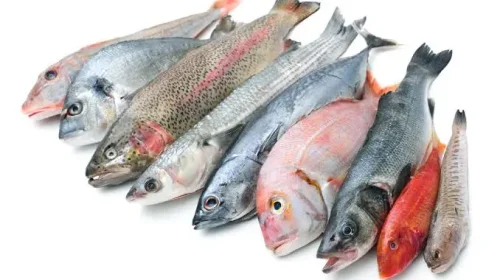 Fed Govt to digitise fish import licences