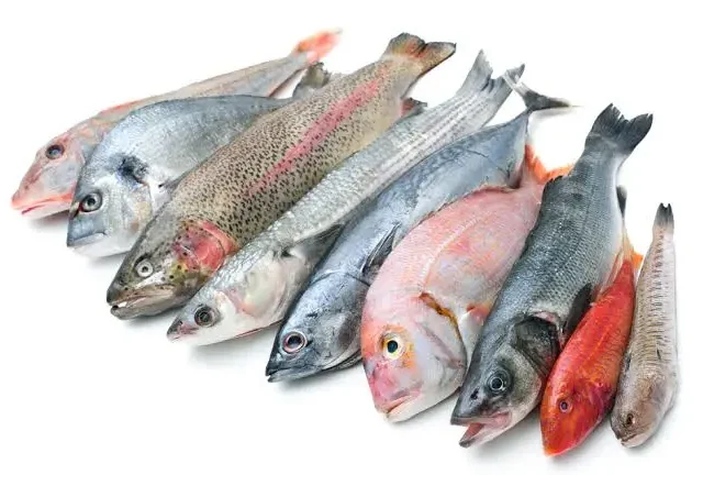 Fed Govt to digitise fish import licences