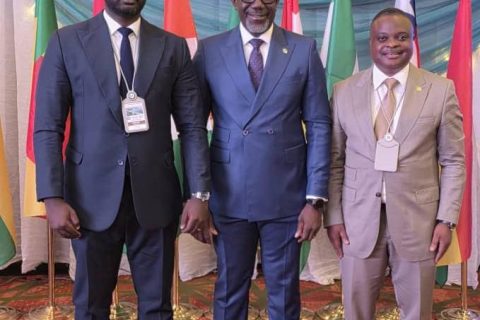 ECOWAS Brown Card Scheme Crucial For Regional Mobility… NAICOM