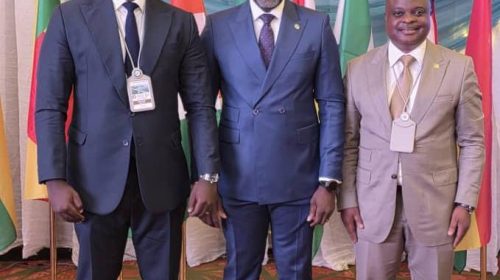 ECOWAS Brown Card Scheme Crucial For Regional Mobility… NAICOM ECOWAS Brown Card Scheme Crucial For Regional Mobility… NAICOM