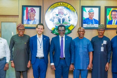 NAICOM, UNDP Partner To Promote Insurance Innovation, Sustainability 