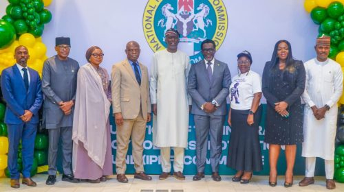 Finance Minister, Oyedele Highlights NIIRA Benefits