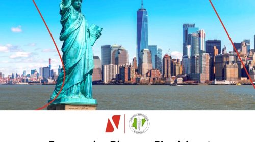 UBA Champions Diaspora Healthcare Investment at ANPA America Symposium