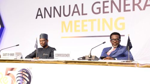 Photo: Oyedele, Omosehin, Nwachukwu Others At Africa Re General Assembly in Abuja