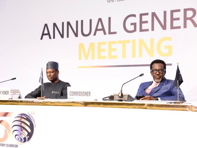 Photo: Oyedele, Omosehin, Nwachukwu Others At Africa Re General Assembly in Abuja