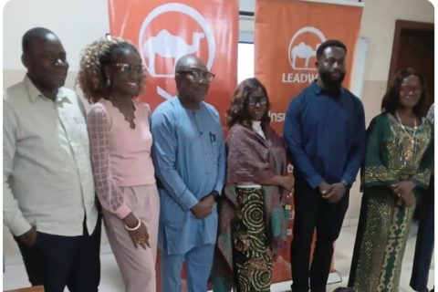 Experts Charge Stakeholders To Address Healthcare Challenges