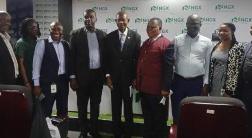 Adonri Projects Positive Market Outlook, Cautions Against Election-Related Volatility