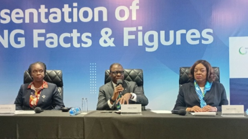 NLNG Pays $47.2bn Dividend To Shareholders As Revenue Hits $149.6bn