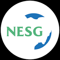 Millions of Nigerians facing unemployment, low productivity- NESG Millions of Nigerians facing unemployment, low productivity- NESG