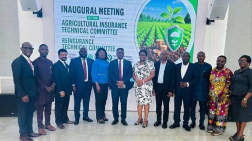 NIA Inaugurates Agricultural Insurance, Reinsurance Technical Committees